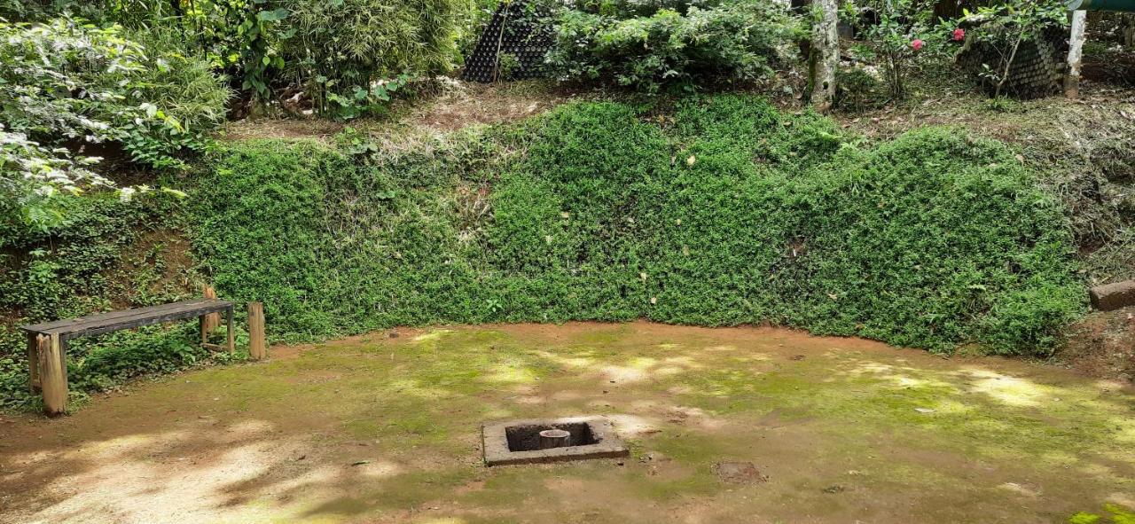 Pepper County Farm Stay مونار المظهر الخارجي الصورة