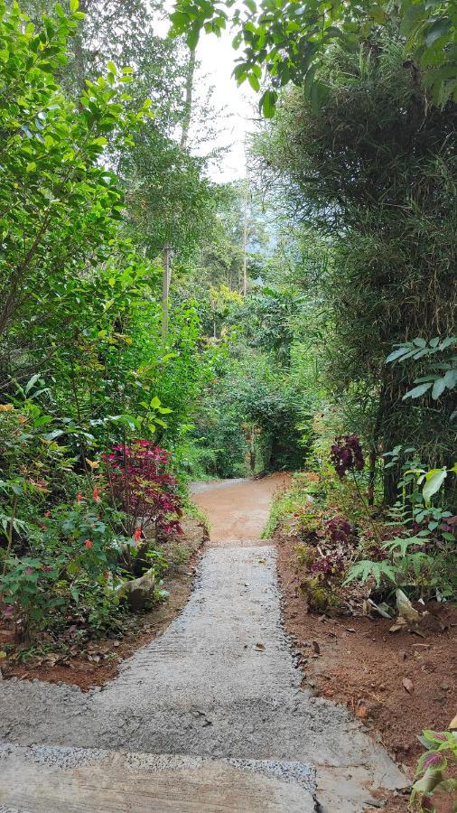 Pepper County Farm Stay مونار المظهر الخارجي الصورة