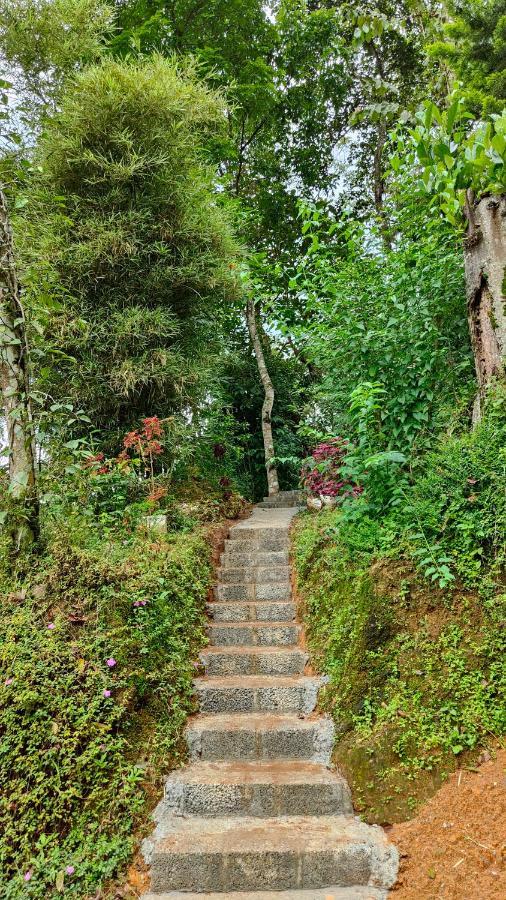 Pepper County Farm Stay مونار المظهر الخارجي الصورة