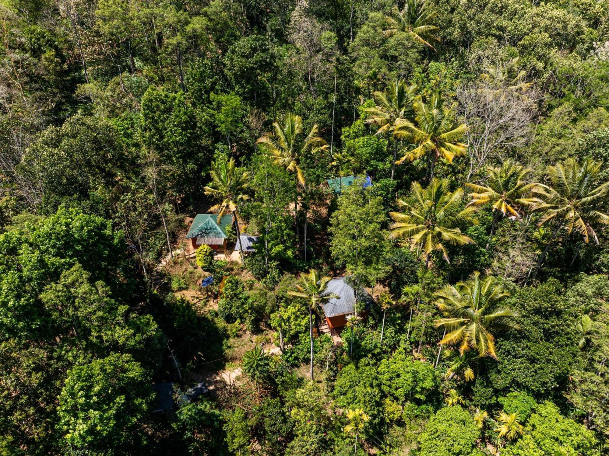 Pepper County Farm Stay مونار المظهر الخارجي الصورة