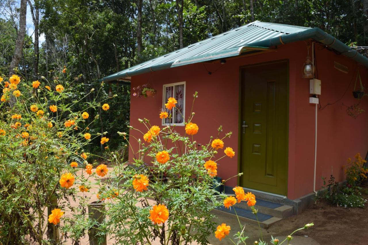 Pepper County Farm Stay مونار المظهر الخارجي الصورة