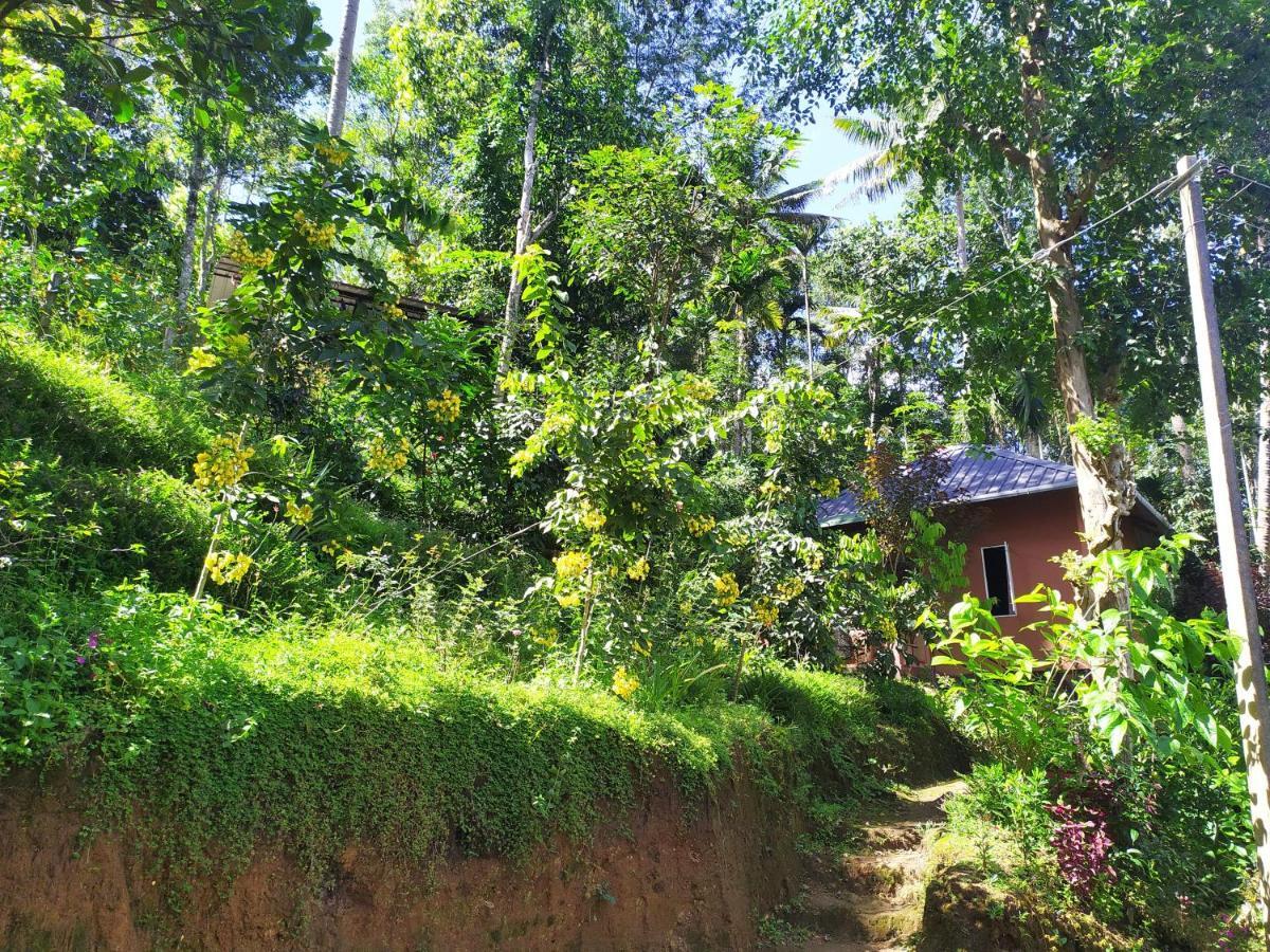 Pepper County Farm Stay مونار المظهر الخارجي الصورة