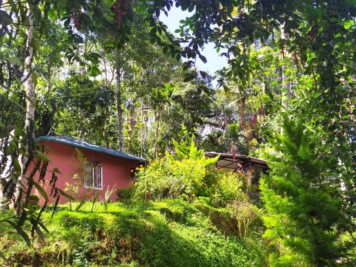 Pepper County Farm Stay مونار المظهر الخارجي الصورة
