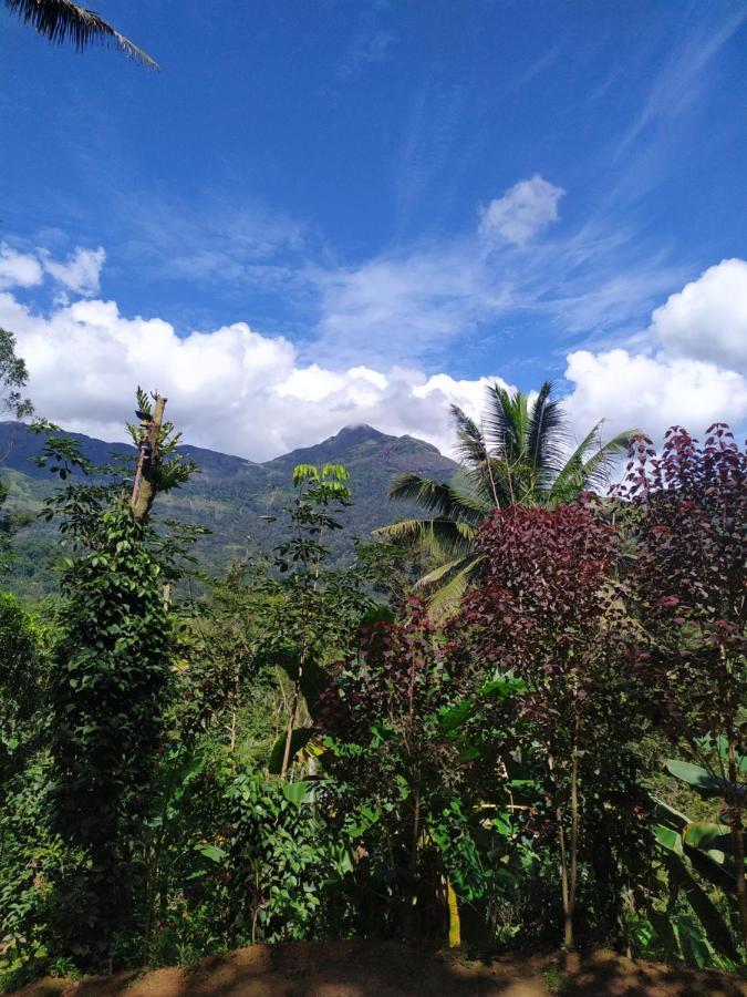 Pepper County Farm Stay مونار المظهر الخارجي الصورة