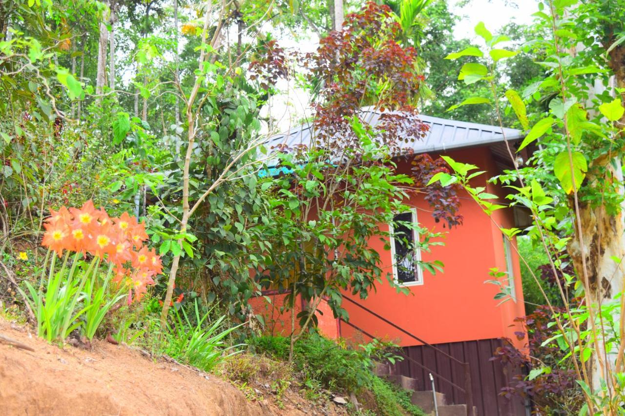 Pepper County Farm Stay مونار المظهر الخارجي الصورة